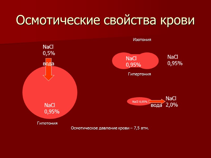 Осмотические свойства крови           